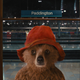 Illustration for article titled Paddington's Journey To The 21st Century Shows How Cynical We've Gotten